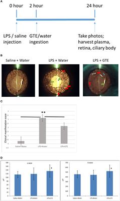 Systemic and Ocular Anti-Inflammatory Mechanisms of Green Tea Extract on Endotoxin-Induced Ocular Inflammation